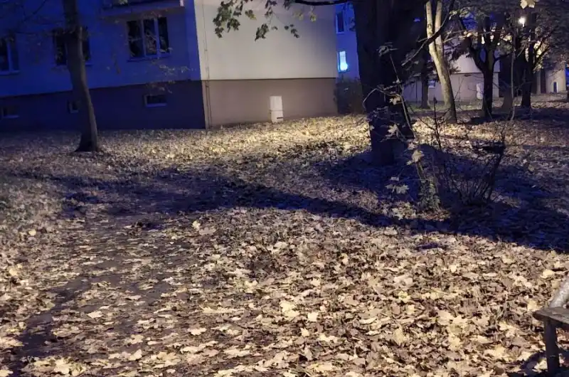 Foto1