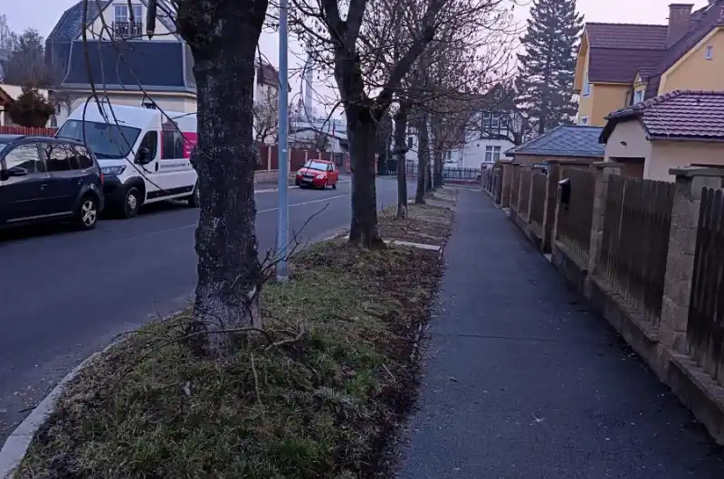 Popadané větve 