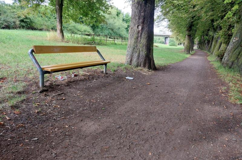 Kaštanová alej na stezce ve směru do Dalovic