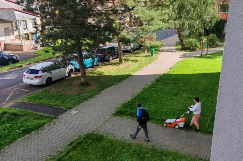 Skládka u stromů opětovně 