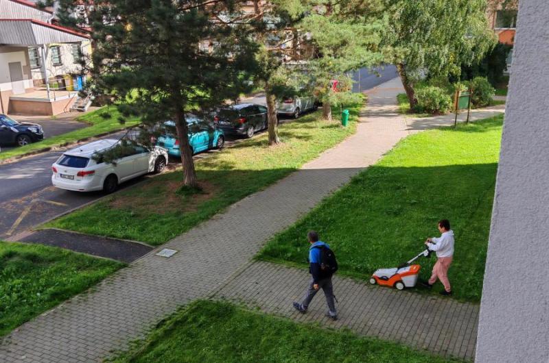 Skládka u stromů opětovně 