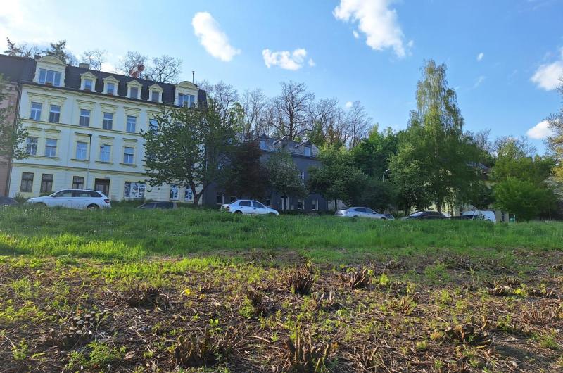 Ideální plocha na pár stromů 