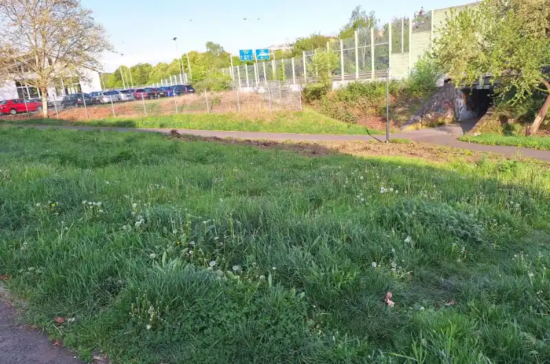 Cca tři stromy:)