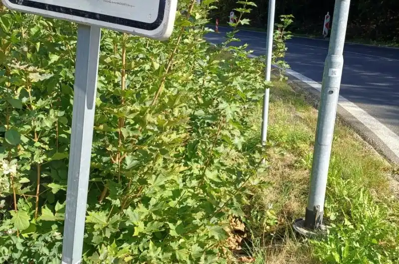 Pohled od přechodu 