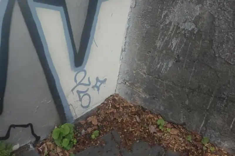 Z