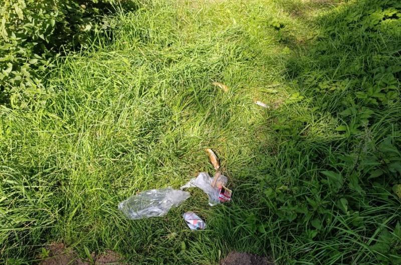 Zapomenutá svačina pod mostem