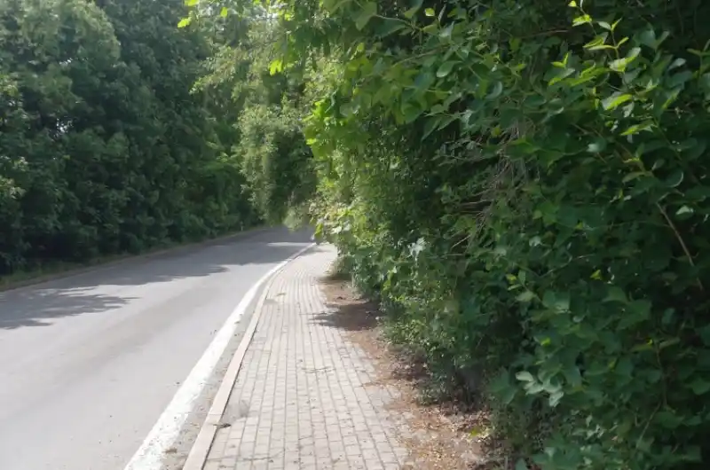 Dřeviny znemožnující průchod