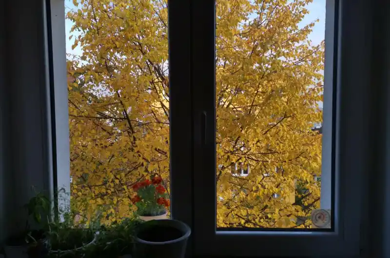 Pohled z okna 