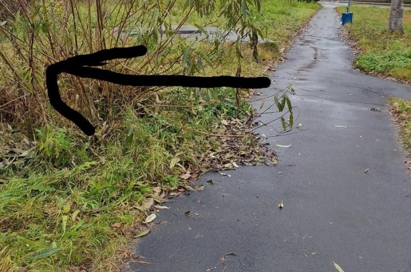 Je to cesta od semaforu nahoru k nádraží 