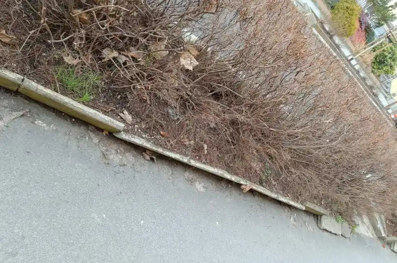 rozpadlé obrubníky Sadová ulice