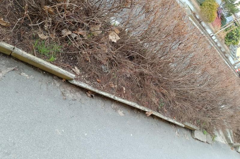 rozpadlé obrubníky Sadová ulice