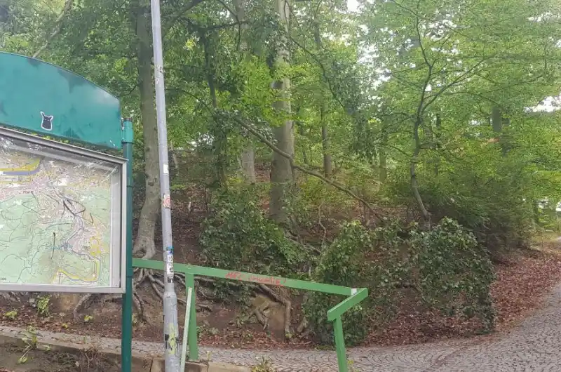 Větev