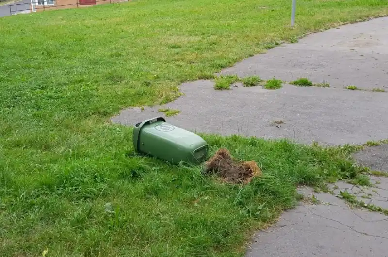 Koš