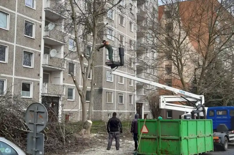 ořešák