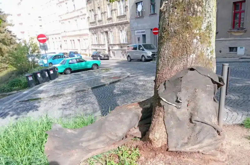 zřejmě zapomenut již dlouho