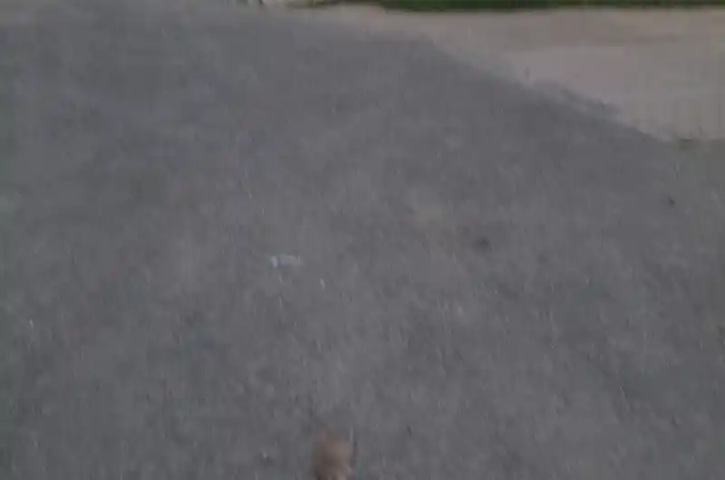 Fotodokumentace