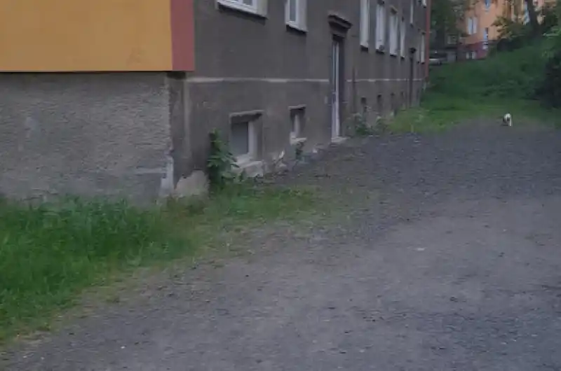 Fotodokuntetace