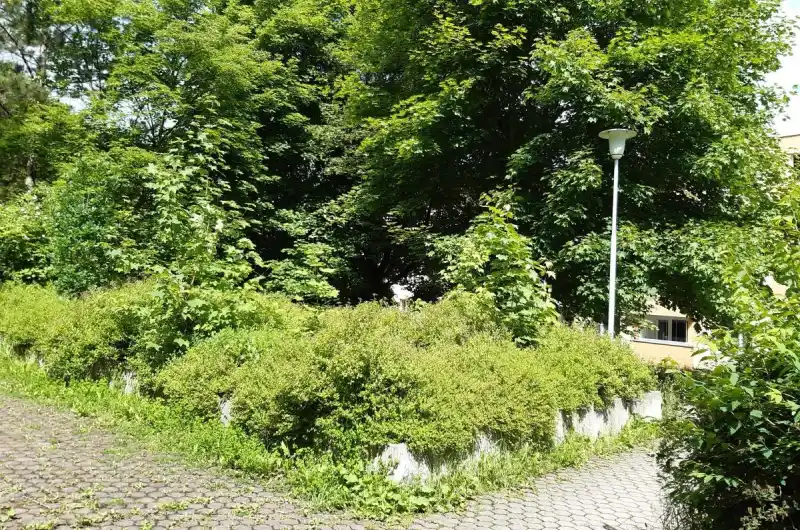 Východní 16
