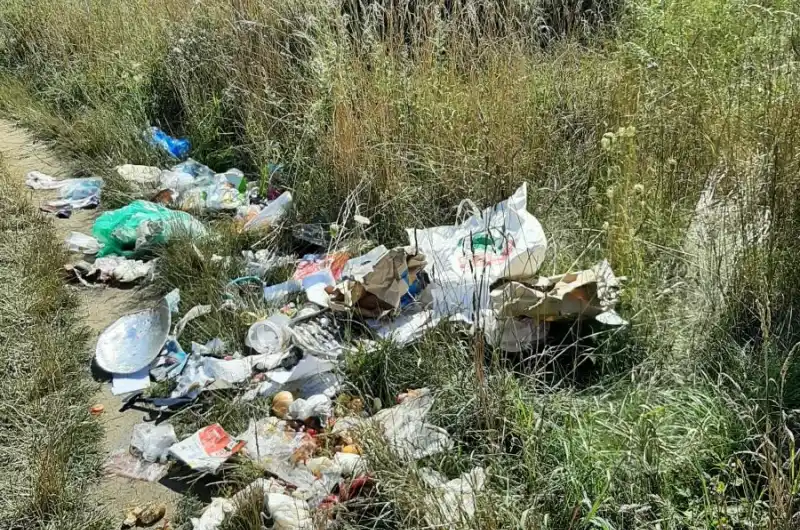 foto2
