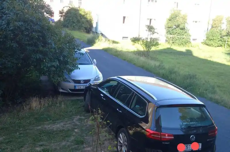 zeleň?