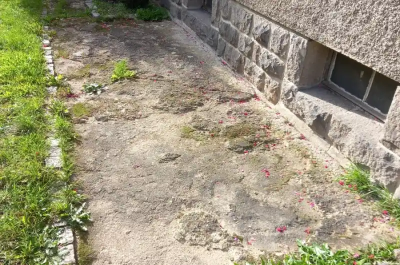 beton 
