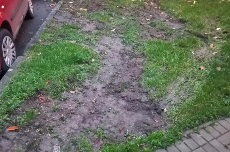 poškozený trávník