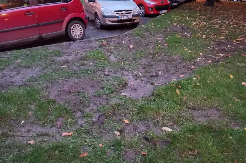poškozený trávník