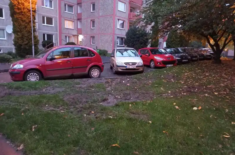 poškozený trávník