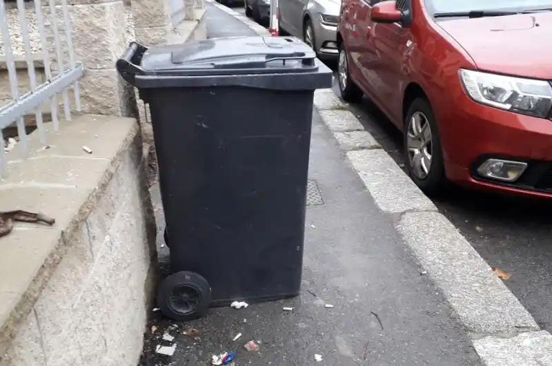 stav z 5/12