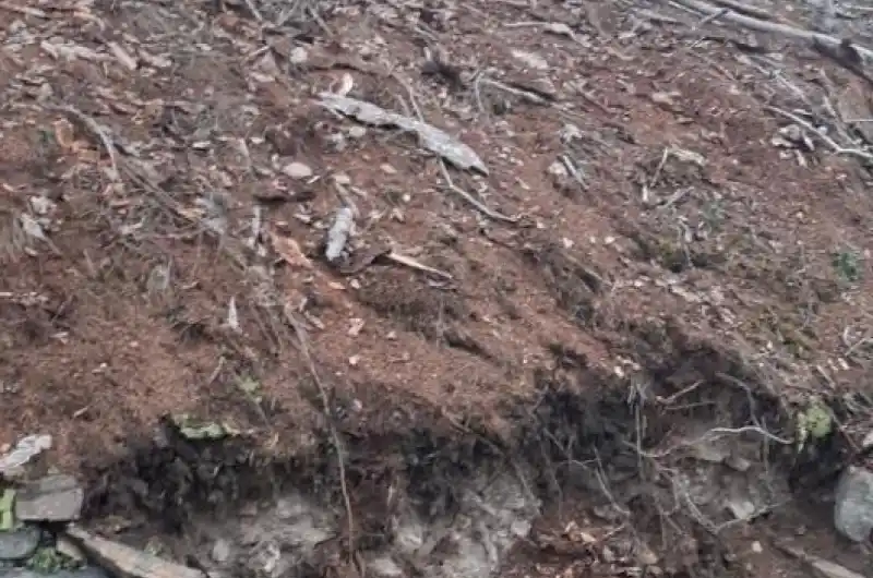 Rozbořené kamenné zídky u Jungmannova altánu
