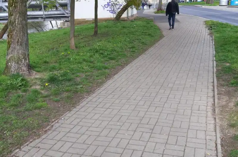 žádný koš