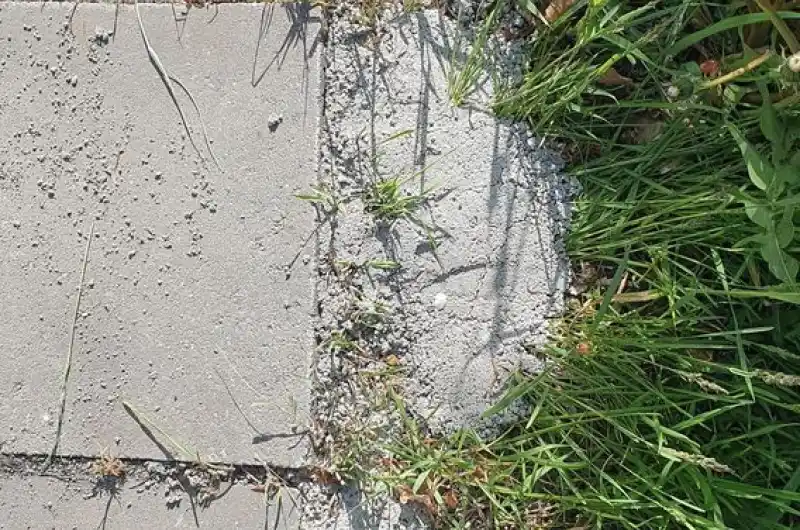 Tráva prorůstá betonem.