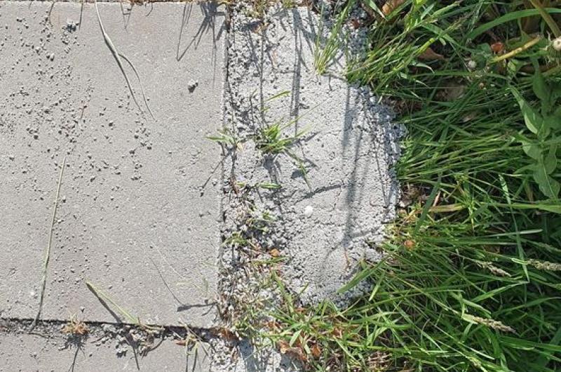 Tráva prorůstá betonem.