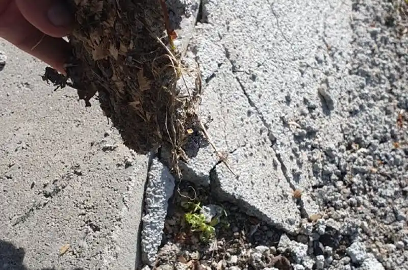 Beton přihozený na trávu a štěrk nemůže držet, natož aby držel žlabovku, která se proto stále houpe.