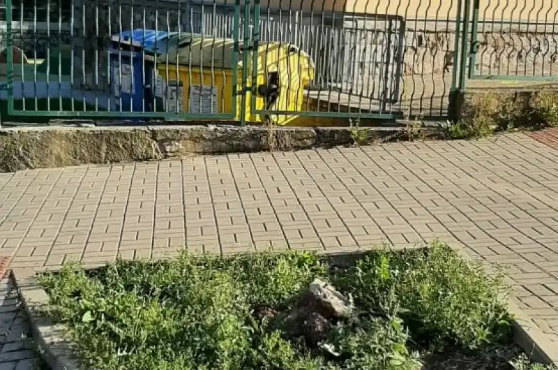 Zrcadlo 