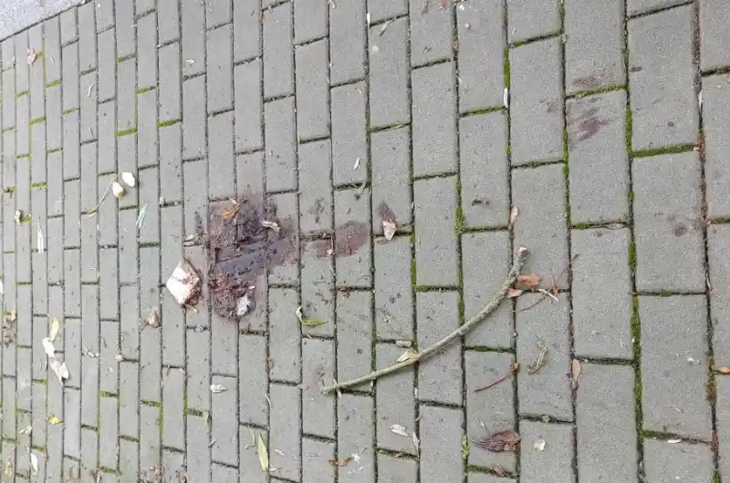 Lidská stolice po týdnu