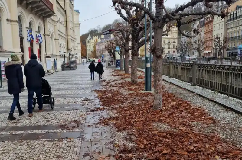 Listí na kolonádě