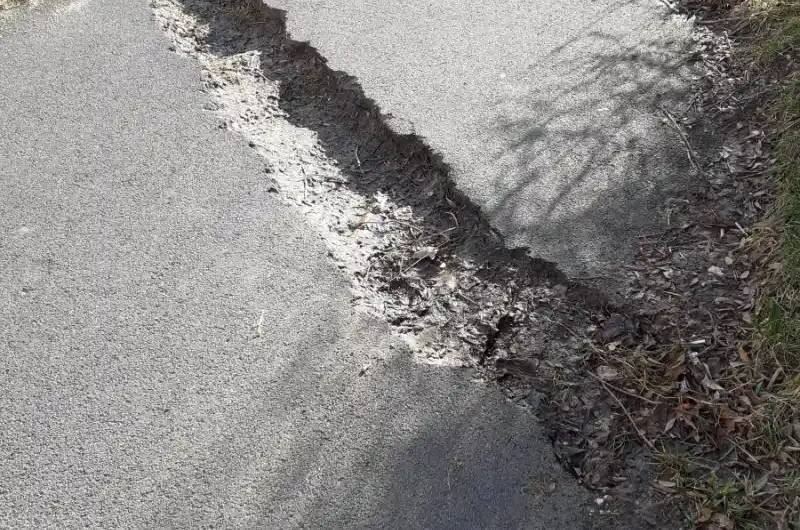 Východní u lampy 67/63