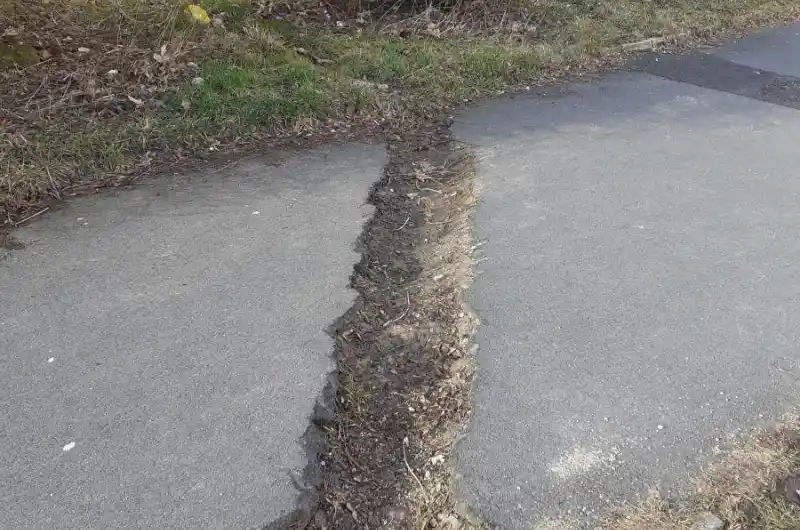 Východní u lampy 67/63