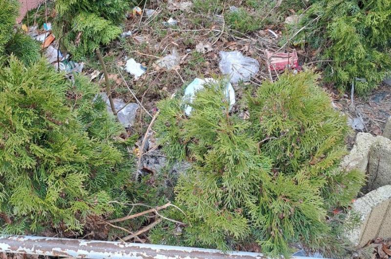 Náměstí Horákové -okolí odpadkového koše u obchodu COOP dnes po 16 hod