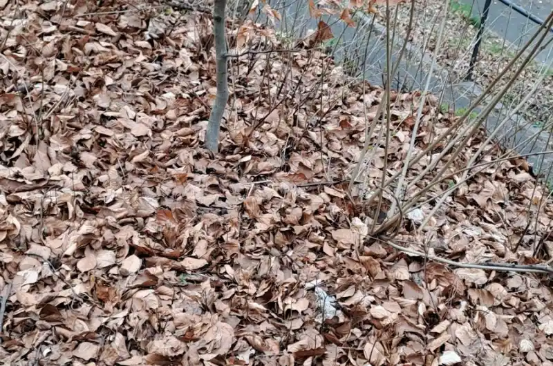 12/3