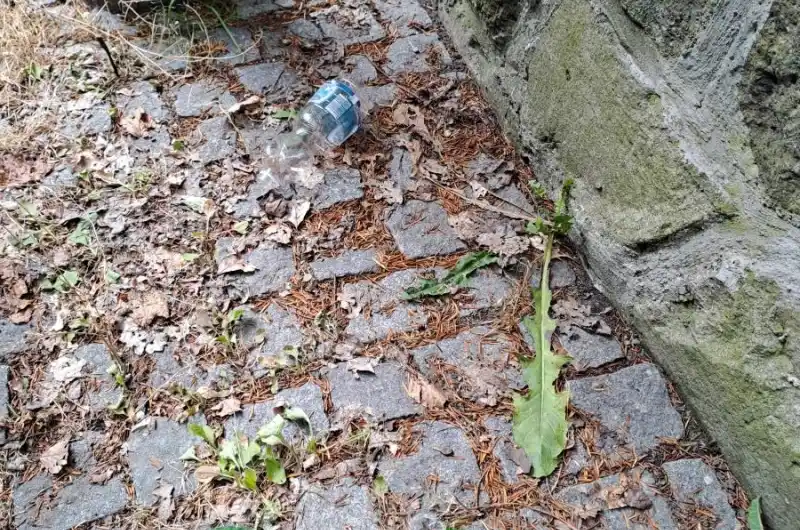Moravská 22/7