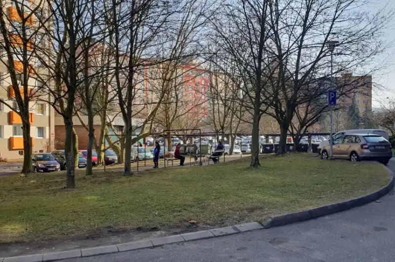 Fotografie parčíku {3}