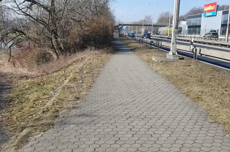 Zarostlý chodník.