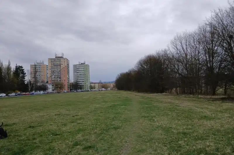 podél stromů nepořádek i pod listím 