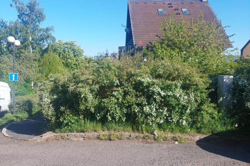 křoviny v ulici Baarova u pozemku byt domu Manesova 570/2