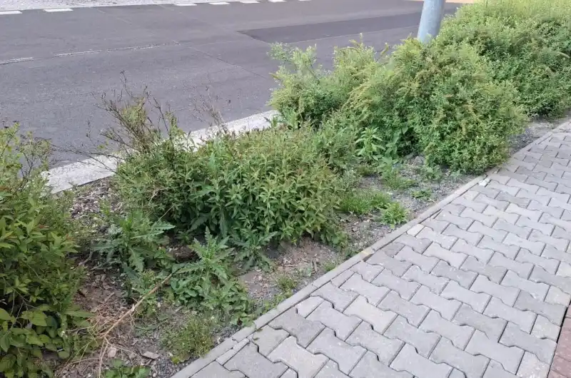 Před Officentrem