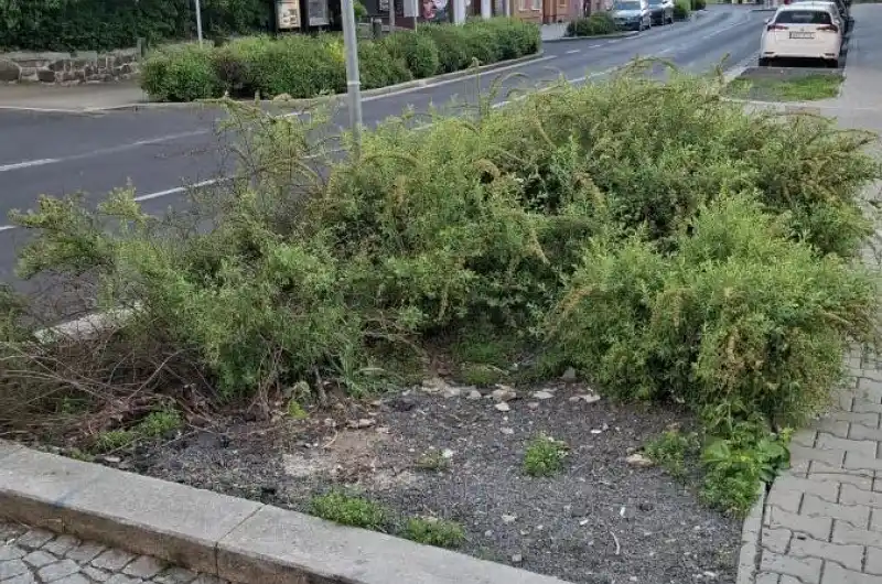 Před Mattoniho nábřeží 314 Hromada štěrku zarůstá