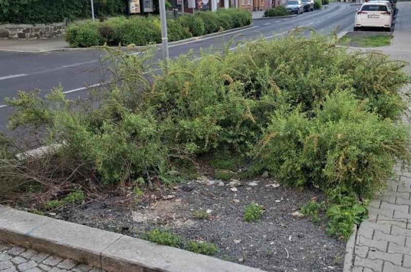 Před Mattoniho nábřeží 314 Hromada štěrku zarůstá