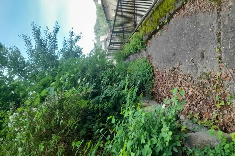 Cesta